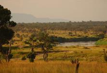 Grumeti Reserves is adjacent to the Western Corridor of the Serengeti, bordering the national park, and encompasses 340,000 acres of unrivalled wilderness.
