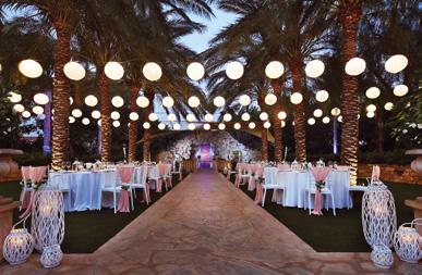 Kanika Weddings Olympian Gardens Dedicated wedding venue and banqueting area Outdoors yet behind closed doors for privacy, the lawns, hedges, flower beds and towering palm trees of the