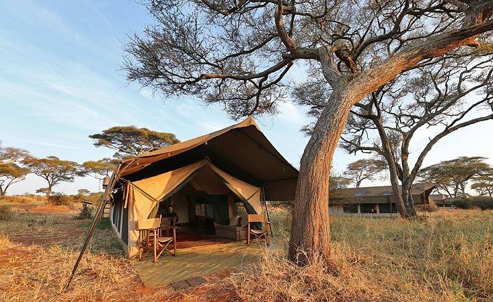 In the evenings guests enjoy a post safari drink around the camp fire before dinner. Day 3: Tarangire National Park Full day spent in Tarangire with a morning and afternoon game drives.