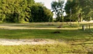 Restrooms, showers, swimming pool, and play area Biking, hiking, fishing, swimming, and boating Rate: $7-$10 100 Market St Glasgow, MO (660) 338-2377