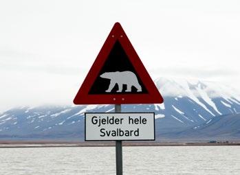 Spitsbergen in Depth: Big Island, Big Adventure Arrival & Departure Details As you prepare for your journey, you may be interested to know the details of your arrival and departure.