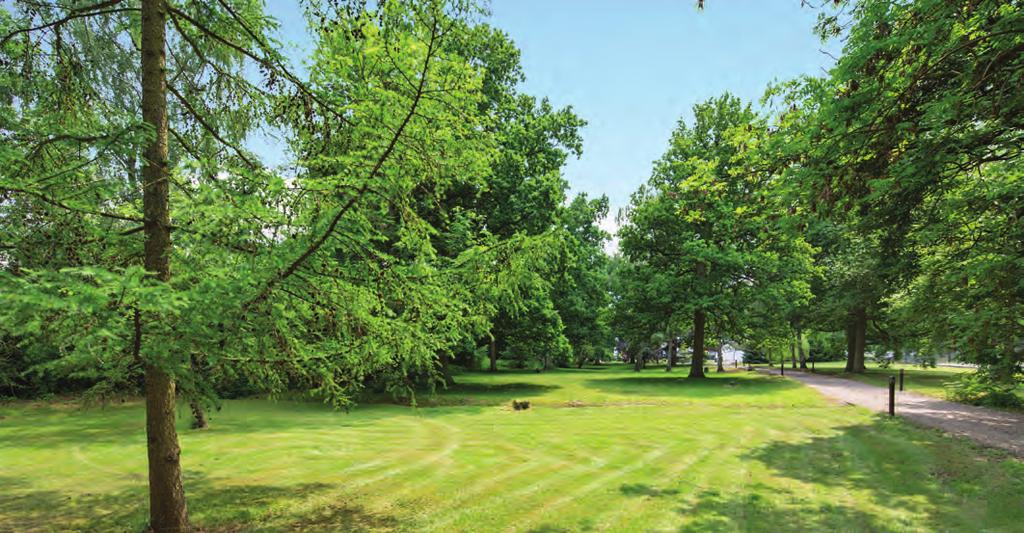 Outside The house is approached through a gate and down a long gravelled driveway, in a plot of four acres of stunning gardens and grounds with many ancient oak trees.