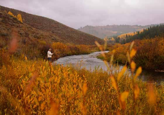 public lands. Two forks CIRCLE LAZY H RANCH SUMMARY of Fall Creek converge on the ranch and meander through for over a mile offering excellent cutthroat fishing.
