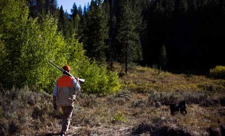 CIRCLE LAZY H RANCH WILDLIFE AND HUNTING Wildlife and Hunting: Completely surrounded by the Bridger-Teton