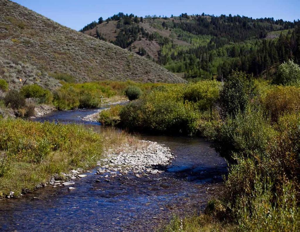 Live Water: The North and South Forks of Fall Creek converge on the Circle Lazy H and offer a robust cutthroat trout fishery and a tremendous amount of riparian habitat.