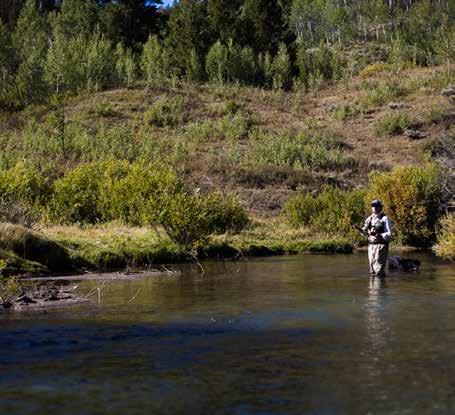 Nearby Live Water: In addition to the excellent, private fishery on the ranch, Jackson Hole and the surrounding area feature an abundance of world-class angling options.