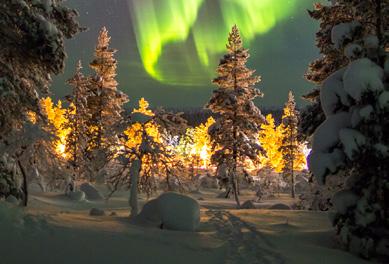 Tromso Alta Capitals of Northern Lights December 2019-March 2020, 5 days/4 nights GCL01: 12.12-16.12.19 GCL02: 16.01-20.01.20 GCL03: 23.01-27.01.20 GCL04: 30.01-03.02.20 GCL05: 06.02-10.02.20 GCL06: 13.