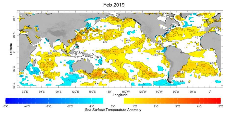 Near to above average SSTs were observed over most part of the equatorial Pacific.