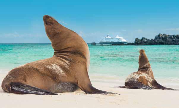 GALÁPAGOS 10 DAYS/9 NIGHTS ABOARD NATIONAL GEOGRAPHIC ISLANDER Lounging sea lions. E DAY 1: U.S./GUAYAQUIL, ECUADOR Arrive in Guayaquil and transfer to the 44-room Hotel del Parque, a tranquil haven set in a restored 19th century building.