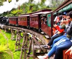 Day 17: Melbourne Combo tour of Puffing Billy with Yarra Valley After Breakfast, Escape to the country with this delightful 9-hour tour from Melbourne.