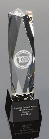 Governor award Centennial Promise Yourself logo personalized gavel plaque INTERNATIONAL VICE PRESIDENT 20% of Governors earn Governor award Centennial Promise Yourself logo crystal personalized award