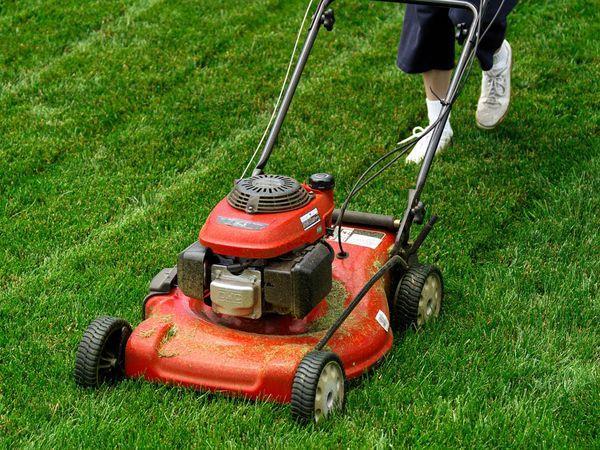 GRASS CUTTING AND MAINTENANCE CONTRACTS These have again been awarded for the next few years. Unusually, for financial reasons they have all been awarded to a single (local) company.
