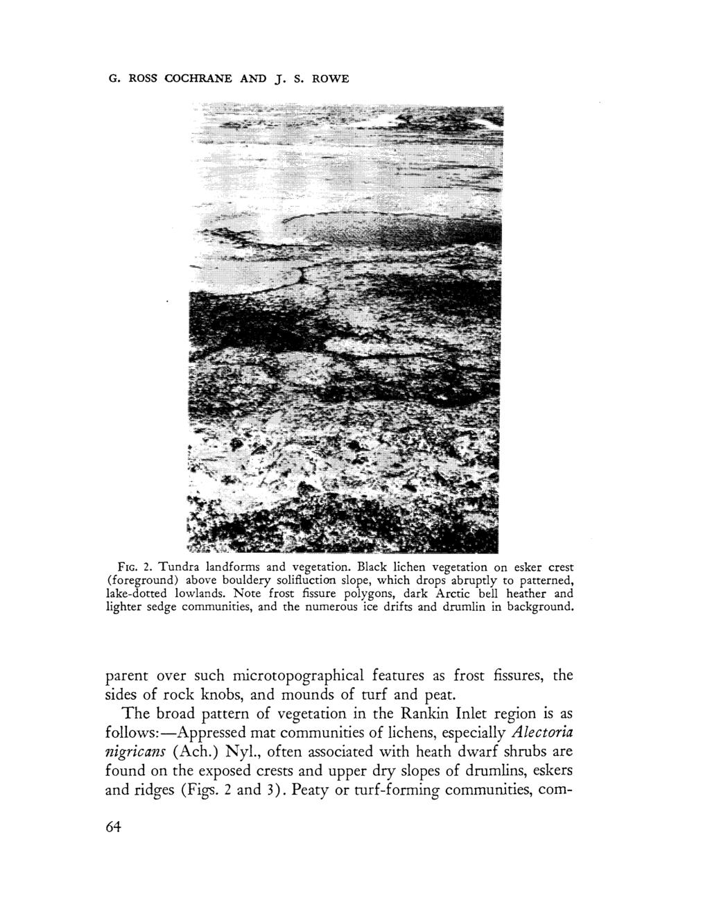 G. ROSS COCHRANE AND J. S. ROWE FIG. 2. Tundra landforms and vegetation.