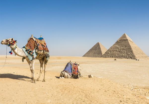 on hand to advise on where best to enjoy your extra time in Cairo in advance of the tour commencing. Tonight your Welcome Meeting will be held at 7pm.