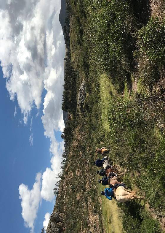 DAY 02: HORSE RIDING AROUND CUSCO CUSCO TOP INCA BUILDINGS The "Four Ruins" Tour with "Horseback Riding Cusco" takes you to the most famous archeological sites around Cusco city.