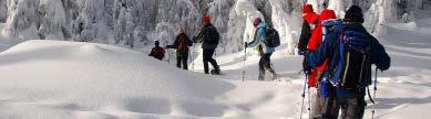 SNOWSHOEING Snowshoeing Snowshoe Rentals $75/PP $25/PP Enjoy the great outdoors by snowshoeing through it s tranquil beauty.