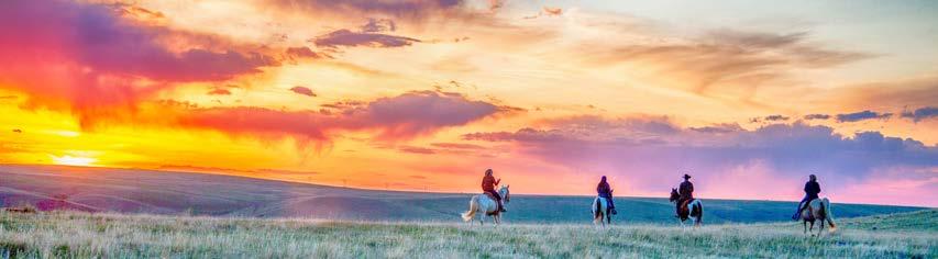 MONTANA HORSEBACK RIDING Bearcat Canyon Trail Ride $200/PP Get in touch with the Wild West on this breathtaking trail. Your wrangler will match you with one of our trusty four legged friends.