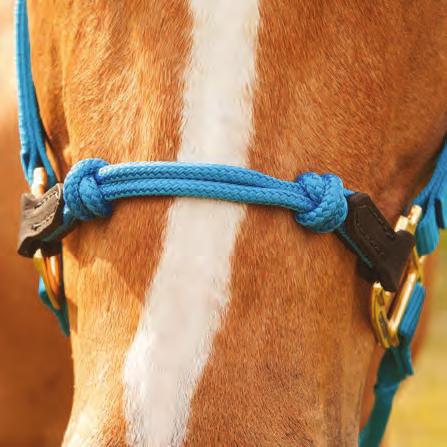 halter when changing direction of travel. The HYBRIDHalter s unique design has decreased surface area, making it harder for horse to push, pull or drag handler around.