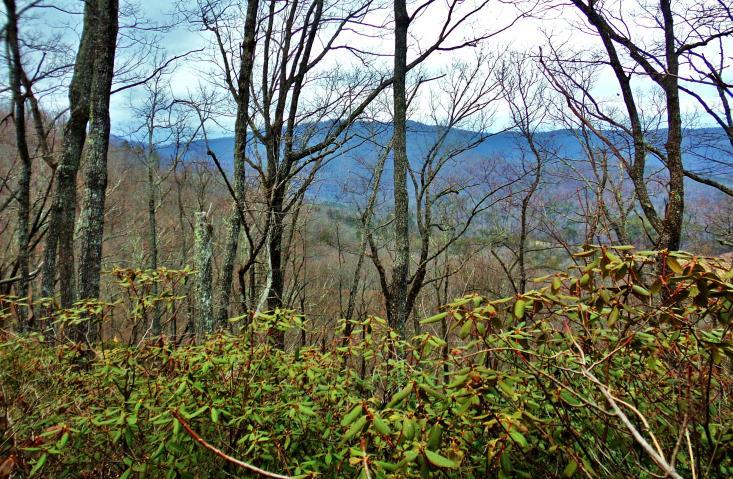Turning toward the northeast horizon, the mountains along the Rutherford-McDowell County line were very visible through the leafless hardwood trees.