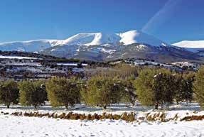 Highest mountain: Torre Cerredo Highest mountain: Aneto Highest mountain: Moncayo Observe Copy and complete the table.