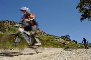 Mountain biking and hiking are growing in Thredbo and represent a potential segment opportunity to market to in the summer.