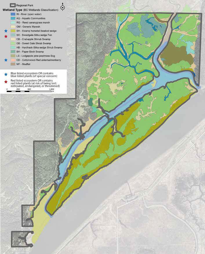 3.0 EXISTING CONDITIONS FIGURE 6: WETLAND ECOSYSTEMS