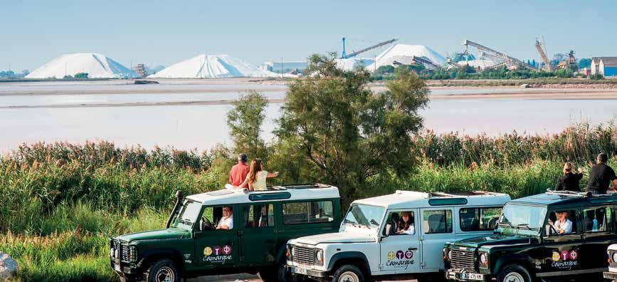 ---- 4X4 SAFARIS RICE FIELDS WINE TASTING WINERY LUNCH PINK FLAMINGOS AIGUES-MORTES CARBONNIÈRE TOWER AND WETLANDS BULL HERDS A team of experienced guides will help you to discover the secrets of the
