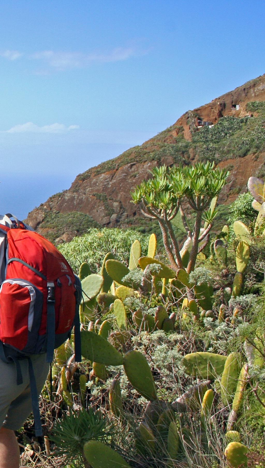 Admire the views across Tenerife to Mount Teide and across the ocean to La Palma and