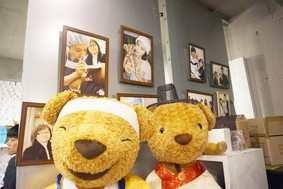 Chinese Teddy bear Atelier Make your own teddy bear resembling your favorite celebrity Space for exhibition and experience, exhibiting and selling teddy bears including custom-made teddy bears and