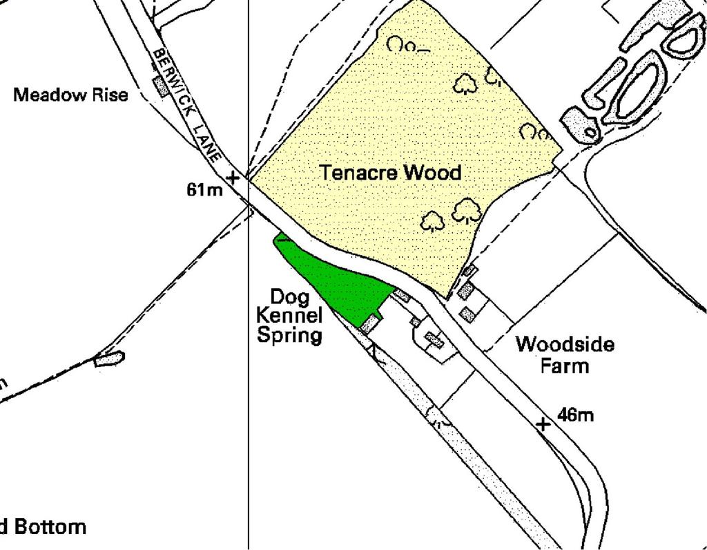 Ep157 Dog Kennel Spring (0.4 ha) TL 520992 Ash (Fraxinus excelsior) and Field Maple (Acer campestre) coppice with Pedunculate Oak (Quercus robur) characterise Dog Kennel Spring.