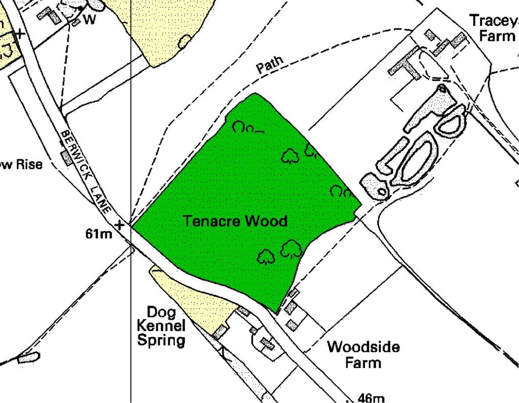 Ep159 Tenacre Wood (4.4 ha) TQ 521993 Tenacre Wood is ancient woodland, almost wholly neglected, with a range of coppice species forming distinct compartments.