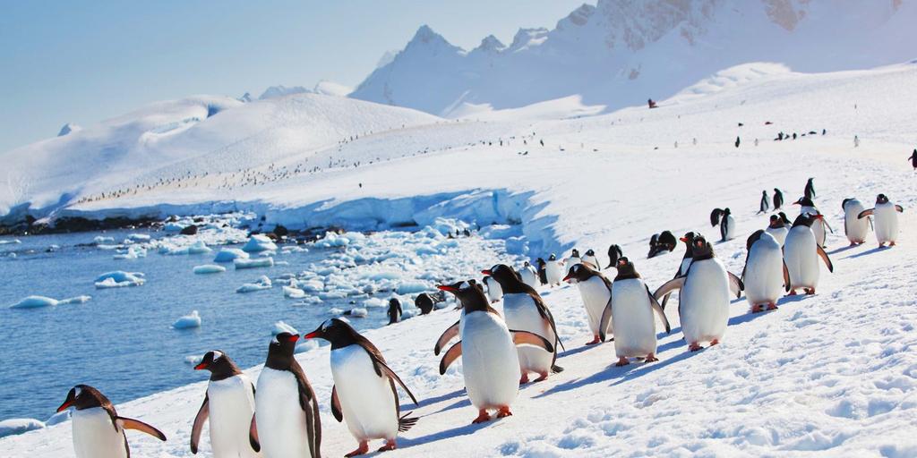 Antarctic Circle Expedition Buenos Aires - Antarctica - Buenos Aires Sail in the wake of polar explorers as you embark on a true