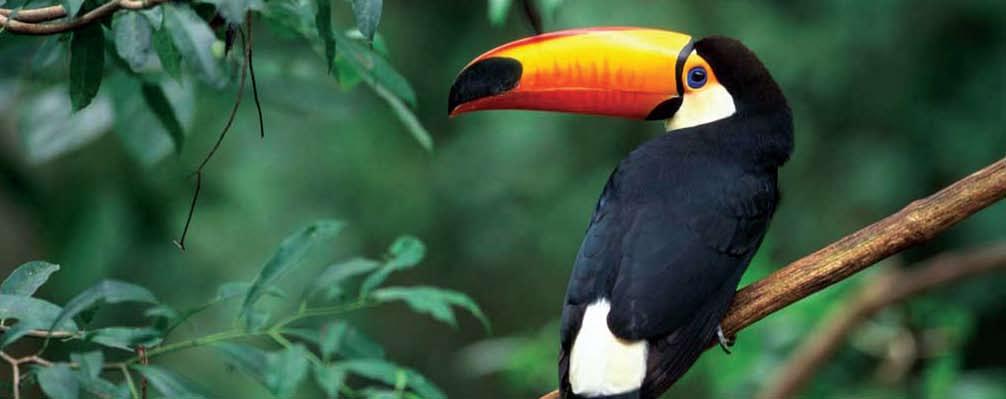 Detailed Itinerary Costa Rica Rainforest Adventure Mar 14/19 Marcia Glick Costa Rica is an oasis of natural wonders - volcanoes, rainforests, white sand beaches, coral reefs and wildlife - all within