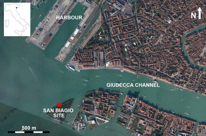 THE VENICE AREA Tourist harbour (near the town of Venice with traffic mainly in spring and summer (83.1% of berths between May and October). Large cruise ships, in 2012, 61.