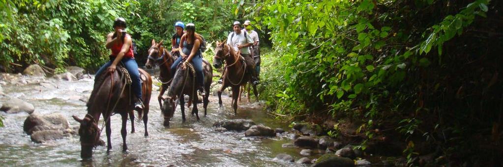 Fortuna Waterfalls by Horse 12 Includes: Entrance fee, water, horses, transportation, equipment and local guide.