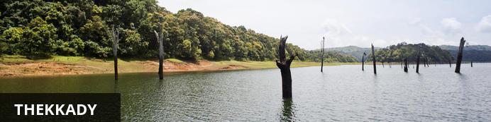 P a g e 11 A tourist attraction in Kerala, Thekkady is a district located at the Periyar National Park. Thekkady comprises of evergreen forests and savanna grass lands.