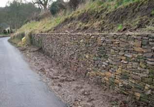 Work funded or facilitated by the JAC in 2012/13 included: 700m of hedge planting/gapping-up 199m of wall restoration 280m of wall-side scrub removal 61 new in-field/hedgerow trees planted Continued
