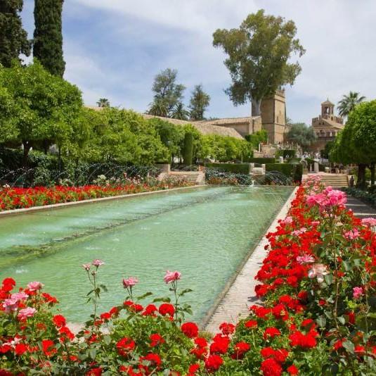 guided visit to the Alcazar gardens, followed by a short walking tour within one of the most popular areas from