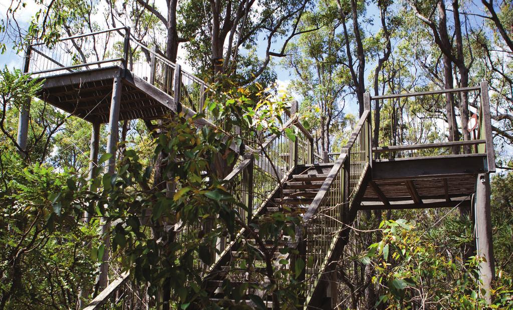 Exploratory Experiences Tree Top Canopy Walk Forest Heritage Centre Tel.: +61 (0)8 9538 1395 www.forestheritagecentre.com.