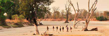 ZAMBIA HOME OF THE WALKING SAFARI A Walk On The Wild Side Guided - 8 Days / 7 Nights or Two Rivers Adventure - 11 Days/10 Nights The South Luangwa National Park marks the end of the Great Rift Valley