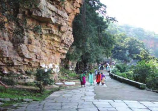 4. Kadali Vanam: The Tourism Department has proposed various works at Kadali Vanam such as upgrading of trekking path,