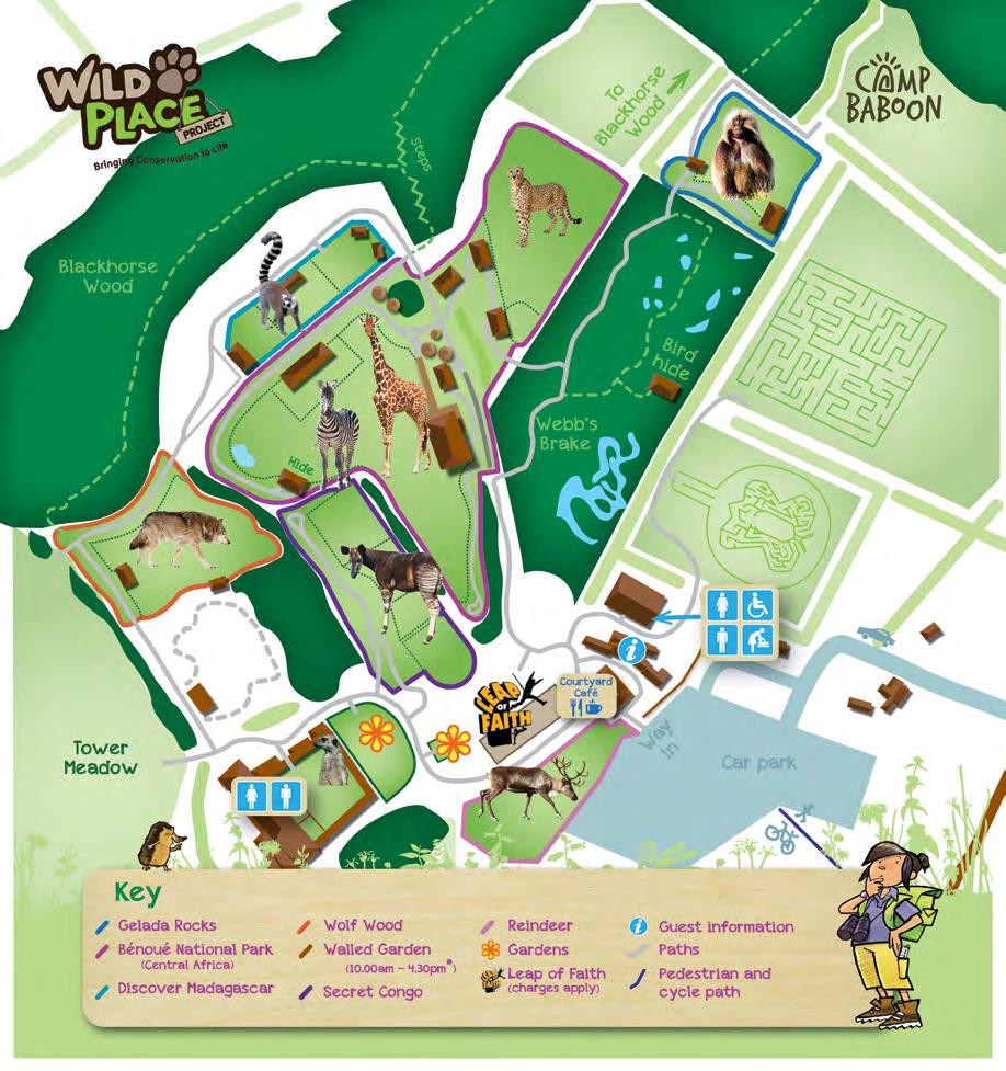 Map of Wild Place Project Camp Baboon is situated near Gelada