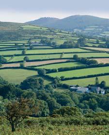 From the seaside to the grandeur of wild Dartmoor, over rolling green pasturelands and thickly wooded forests and from town and city to rural and quiet country Around Cadhay What to see and do in the