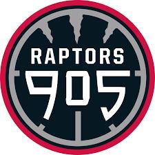 The Raptors are coming off another strong season that saw them make it to the G-League Finals, dropping the best of three to the Austin Spurs. The Raptors won the championship a year prior.