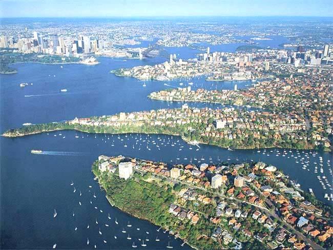 Sydney Harbour The natural and