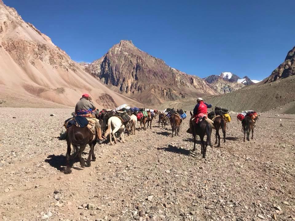ACONCAGUA PEAK: ITINERARY DAY FIVE: CONFLUENCIA PLAZA DE MULAS (BASE CAMP) (4250 M) We will begin our second approaching day trekking into Plaza de Mulas, the base camp for our expedition.