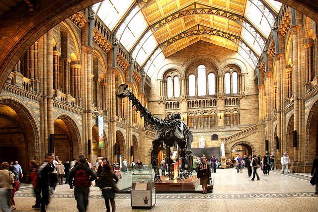 The Natural History Museum is wheelchair accessible, apart from the Earth Lab. The Museum has 2 entrances, the Cromwell Road entrance has steps.