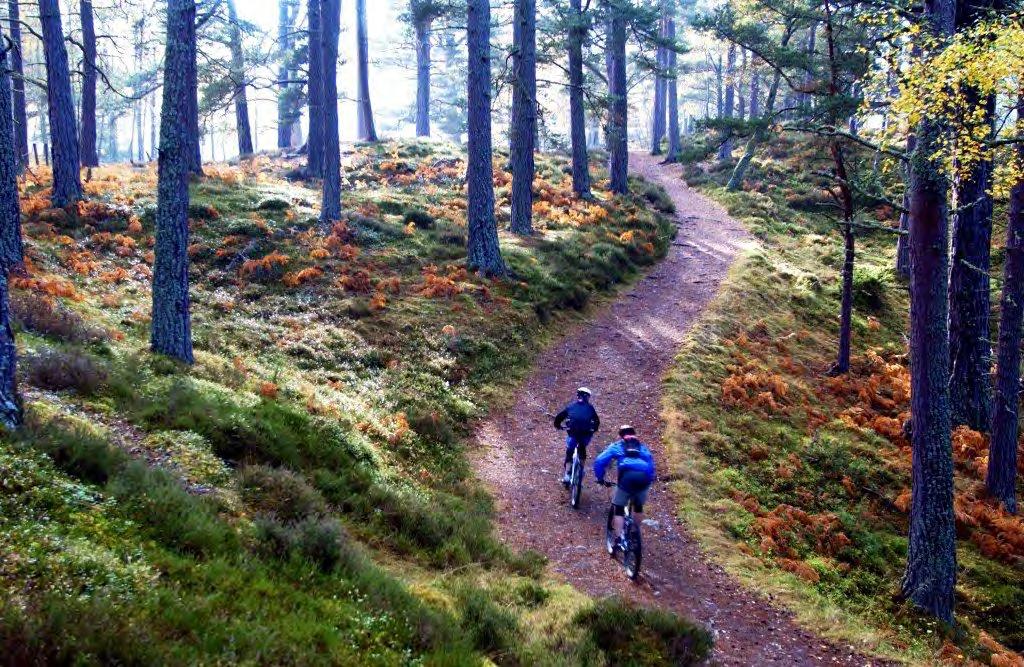 Day 8 Biking Cairngorms National Park After a hearty Scottish breakfast meet your guide and transfer into the heart of the Cairngorms National Park- a haven for outdoor pursuits including hiking,