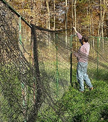 Next, the panels are tied down to stakes in the ground. This secures the hooks in adjacent panels and gives the pen greater stability.