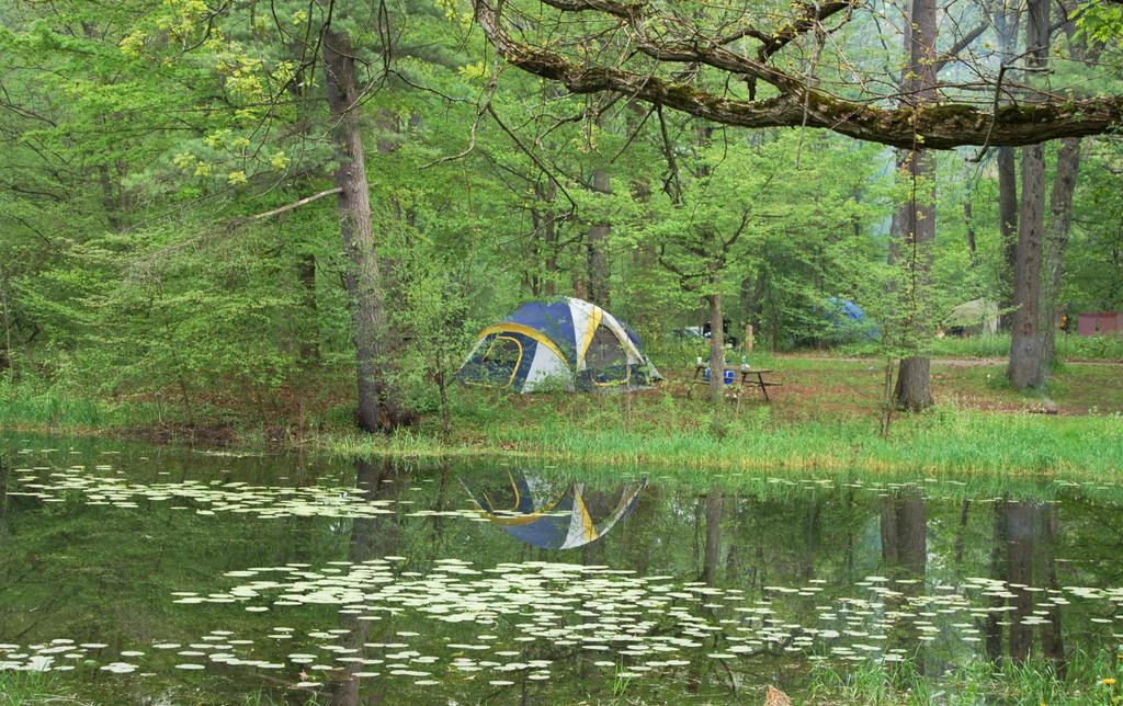 Seasonal Camping Guide 1